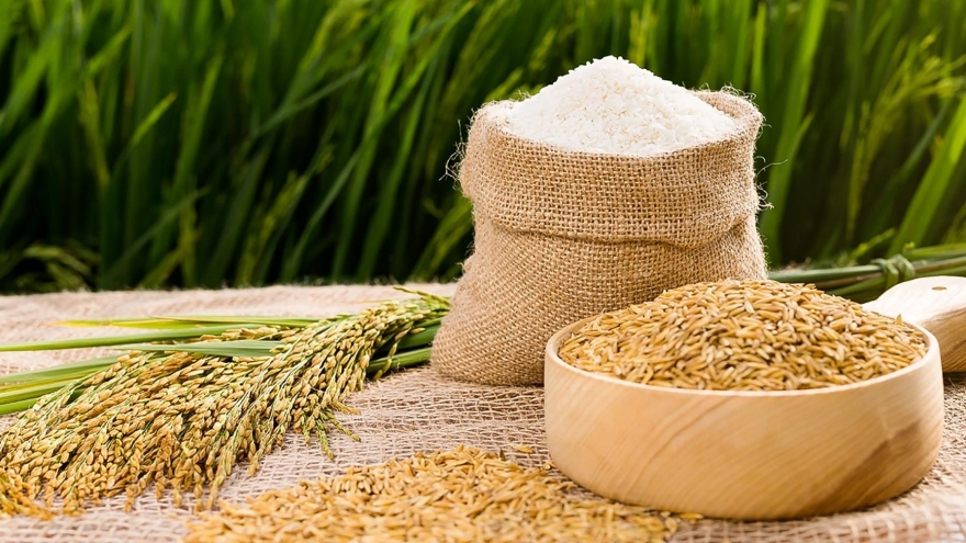 Philippines is Vietnam’s largest rice consumer in 2023